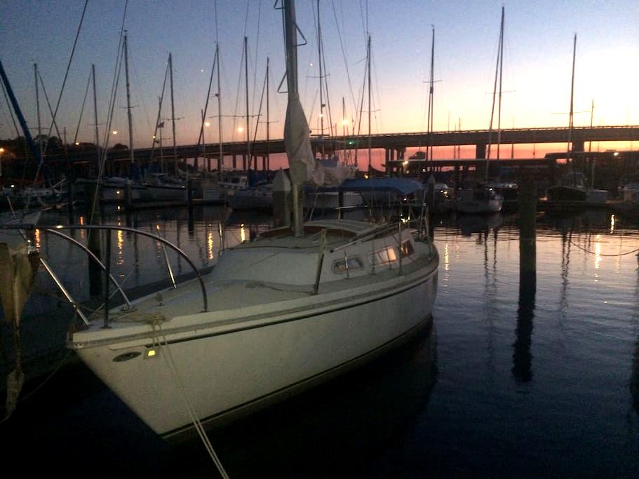 airbnb boat rental jacksonville top 20 jacksonville boat yacht and houseboat rentals airbnb boat rental jacksonville top 20 jacksonville boat yacht and houseboat rentals