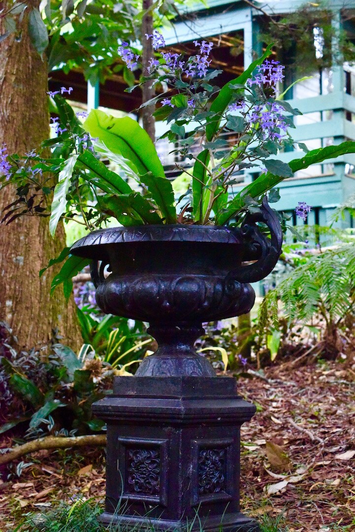 Fernybrook Cottage Springbrook Qld Australia Chalets For