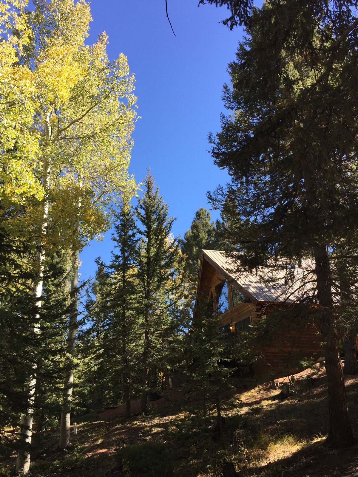 Family Built Cabin In Cripple Creek Cabins For Rent In Cripple Creek