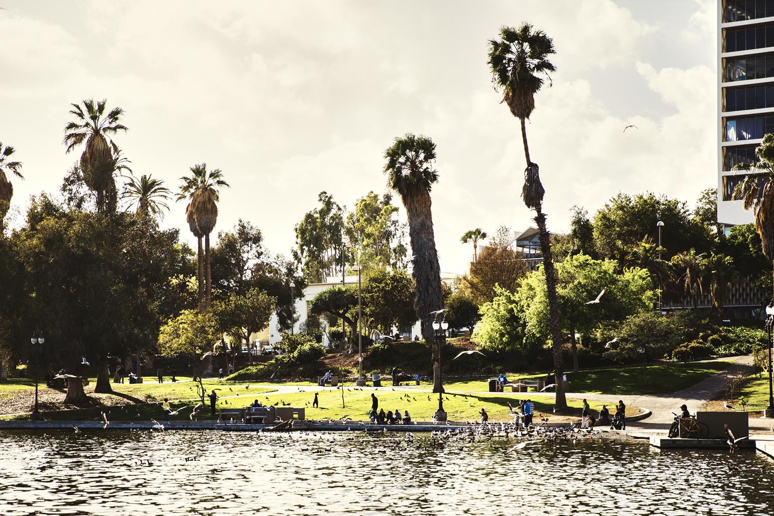 Parks & Nature in Los Angeles