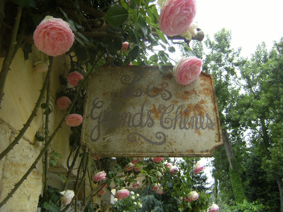 11/12: Les grands chênes