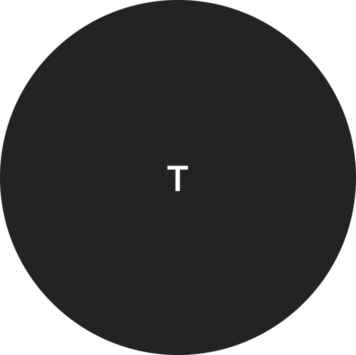 Тимур — მომხმარებლის პროფილი