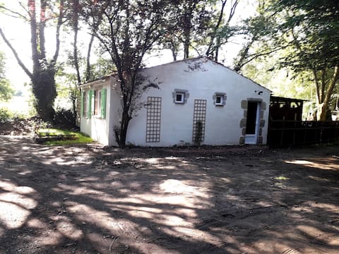house under the trees with jacuzzi accepts dog