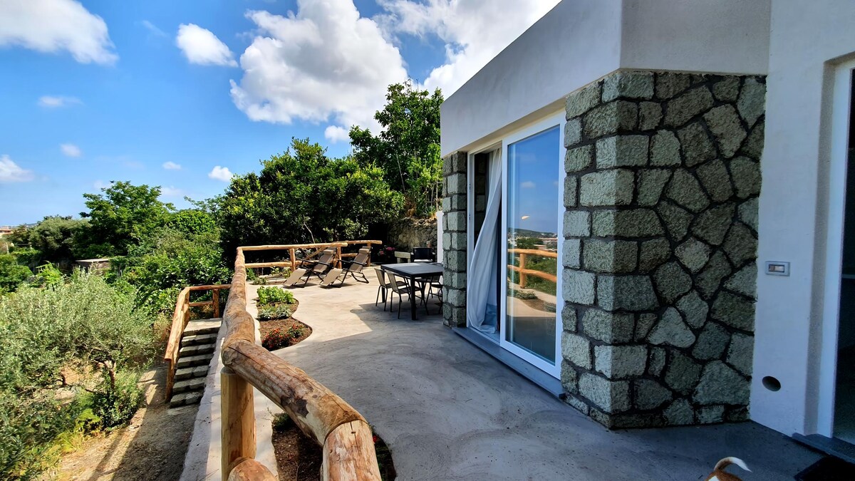 Successful Airbnb property: "The View apartment" : Forio in Forio