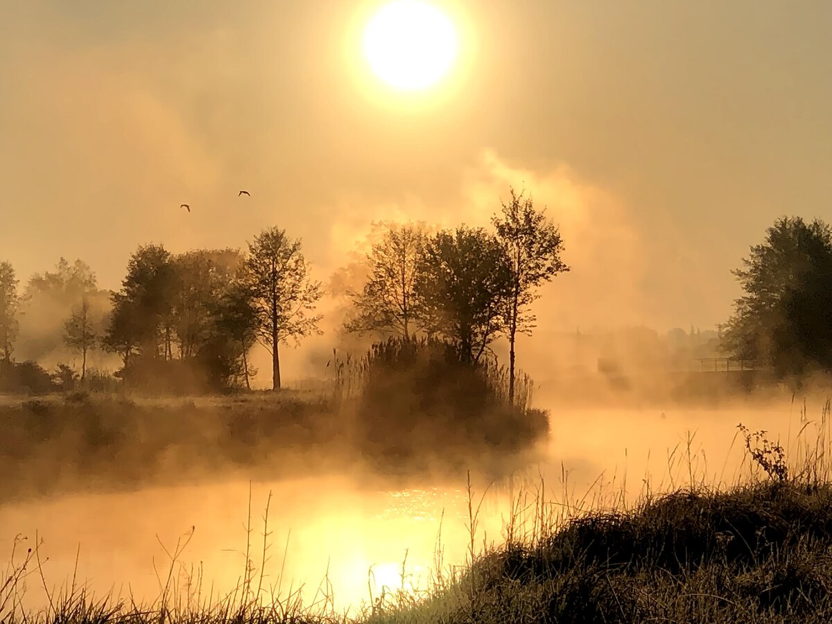 Popular Airbnb listing: Cottage Vacation of the soul Give space Experience nature in Ludwigslust Parchim