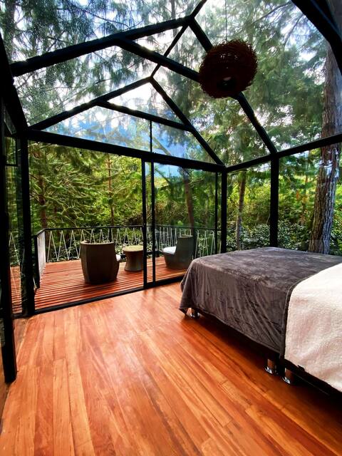 Glass Cabin - Cafetal