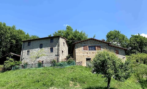 Casa Elena di Fucchi, pool in Garfagnana Region