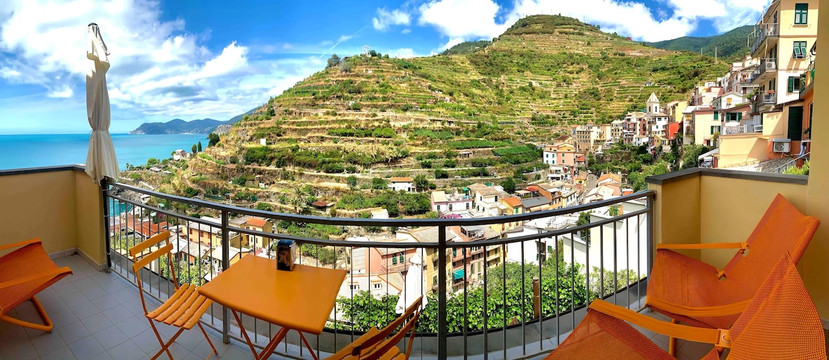 Propiedad de Airbnb exitosa: Terrace/sea view apartment (011024-CAV-0112) en Riomaggiore