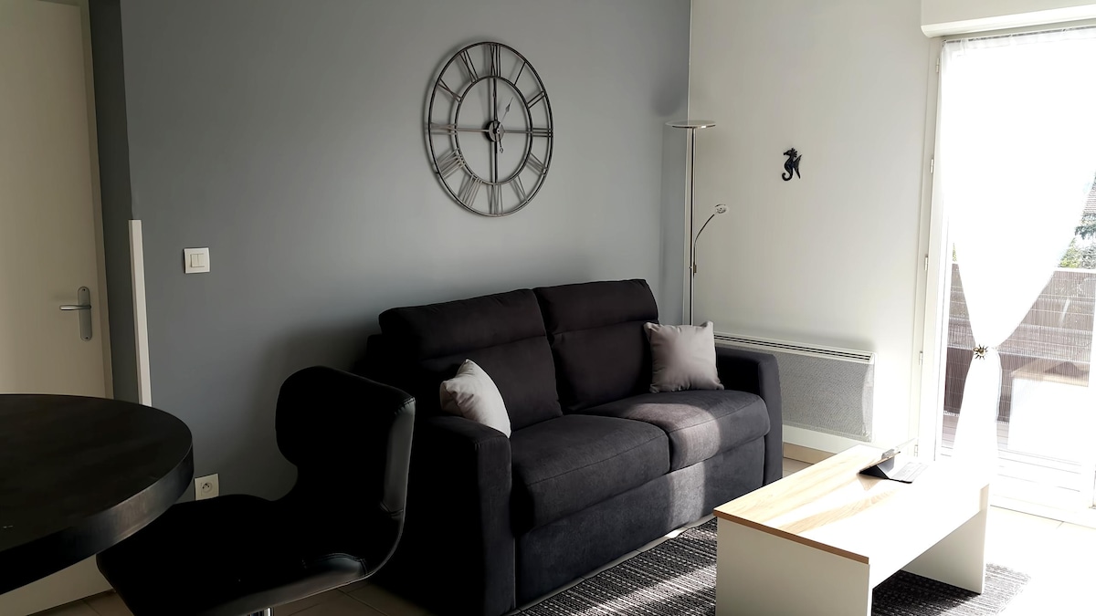 Top performing Airbnb: T2 "Privilege Marina" non-smoking in the center of Ares in Arès