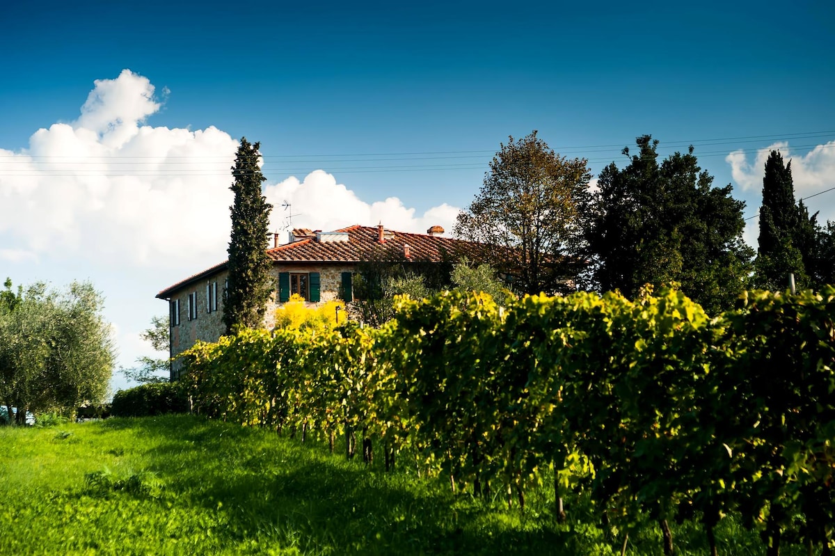 Popular Airbnb listing: Agriturismo Podere Scaluccia Chianti, Florence 12 px in Impruneta