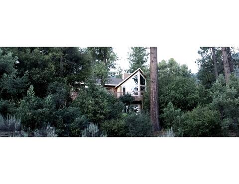 Sanctuary in the Pines