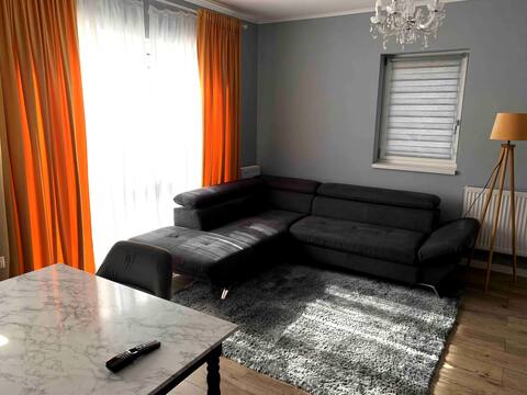 Tiberiu Ricci Apartament