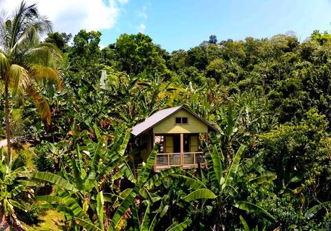 Tiny House, Finca Figueroa