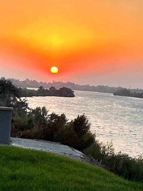 The River House