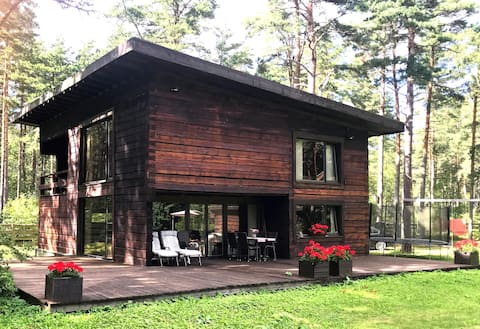Modern handicraft log house near the beach.