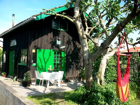 Annonce Airbnb populaire: Beautiful cabin for rent. à La Teste De Buch