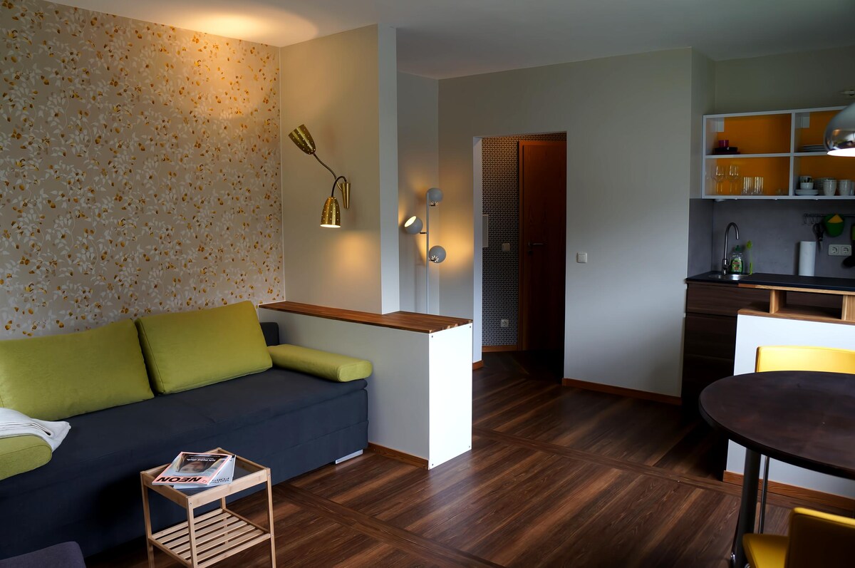 Successful Airbnb property: Sunny & comfortable One-Room-Apartment in Aachen in Aachen