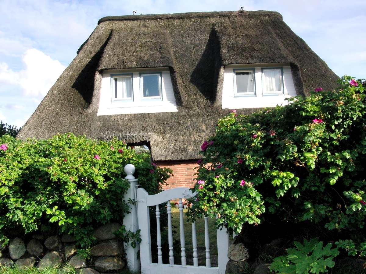 Popular Airbnb listing: SYLT Westerheide 22 semi-d/ DHH in List Auf Sylt