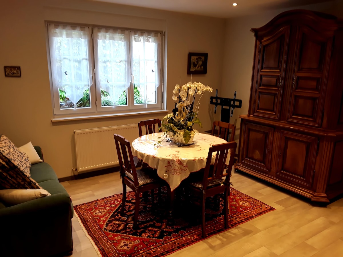 Airbnb performant: 75 m² apartment, completely refurbished and comfortable à Bas Rhin