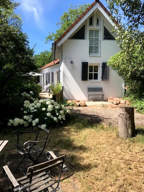 Idyllic country house in the vineyard