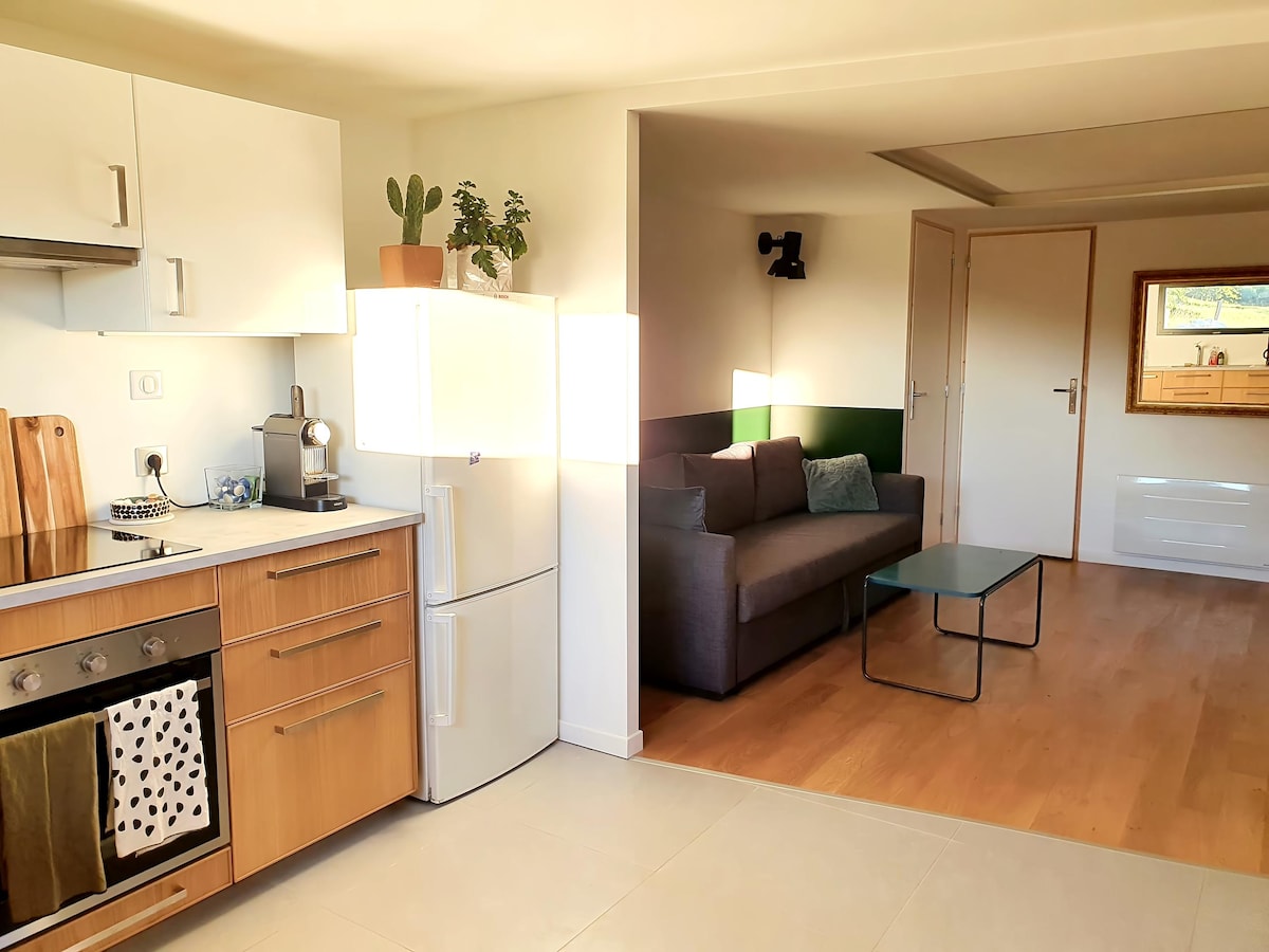 Propriété Airbnb réussie: Spacious two-room apartment between lake and mountain à Talloires Montmin