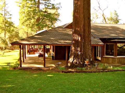 Linger Longer cabin w/ Mtn Views, Sunsets & Stars
