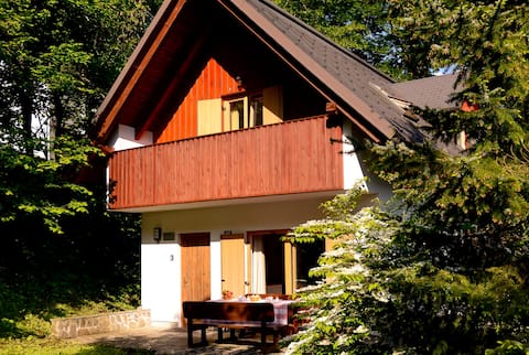 Spacious family chalet 200m from Lake Bohinj
