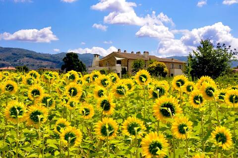 A lovely farm home in Tuscany:Whole house