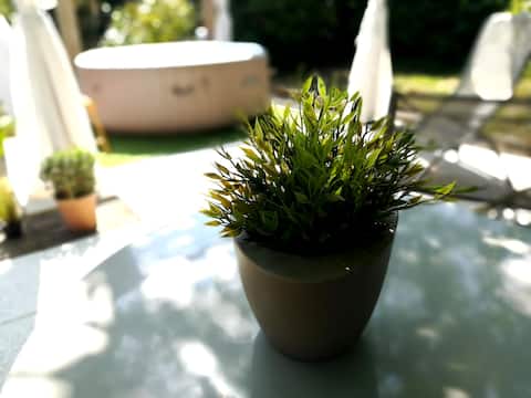 Le Patio 4*. Garden, Jacuzzi, Piscine en Provence