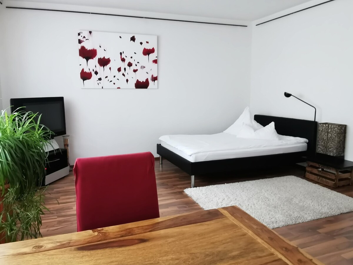 Popular Airbnb listing: Apartment Stuttgart "Am Hasenberg" in Stuttgart
