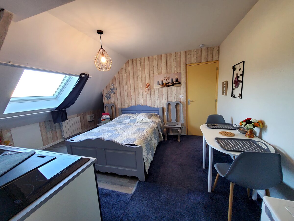 Top performing Airbnb: New independent studio in Ille Et Vilaine