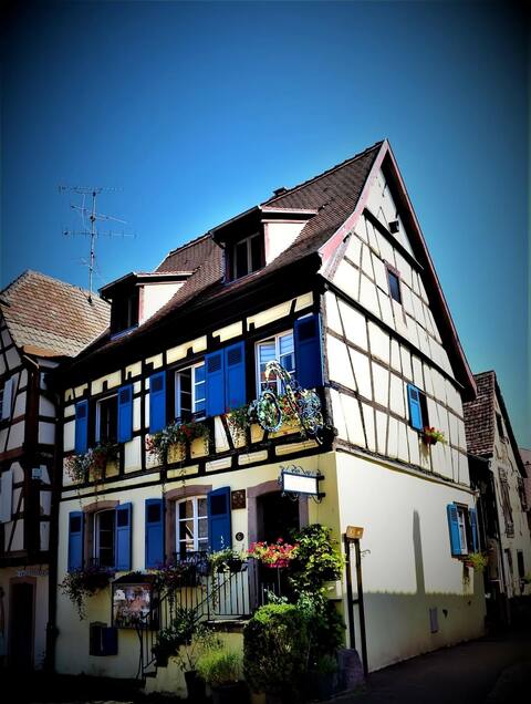 "Les Vines d 'EGUISHEIM"