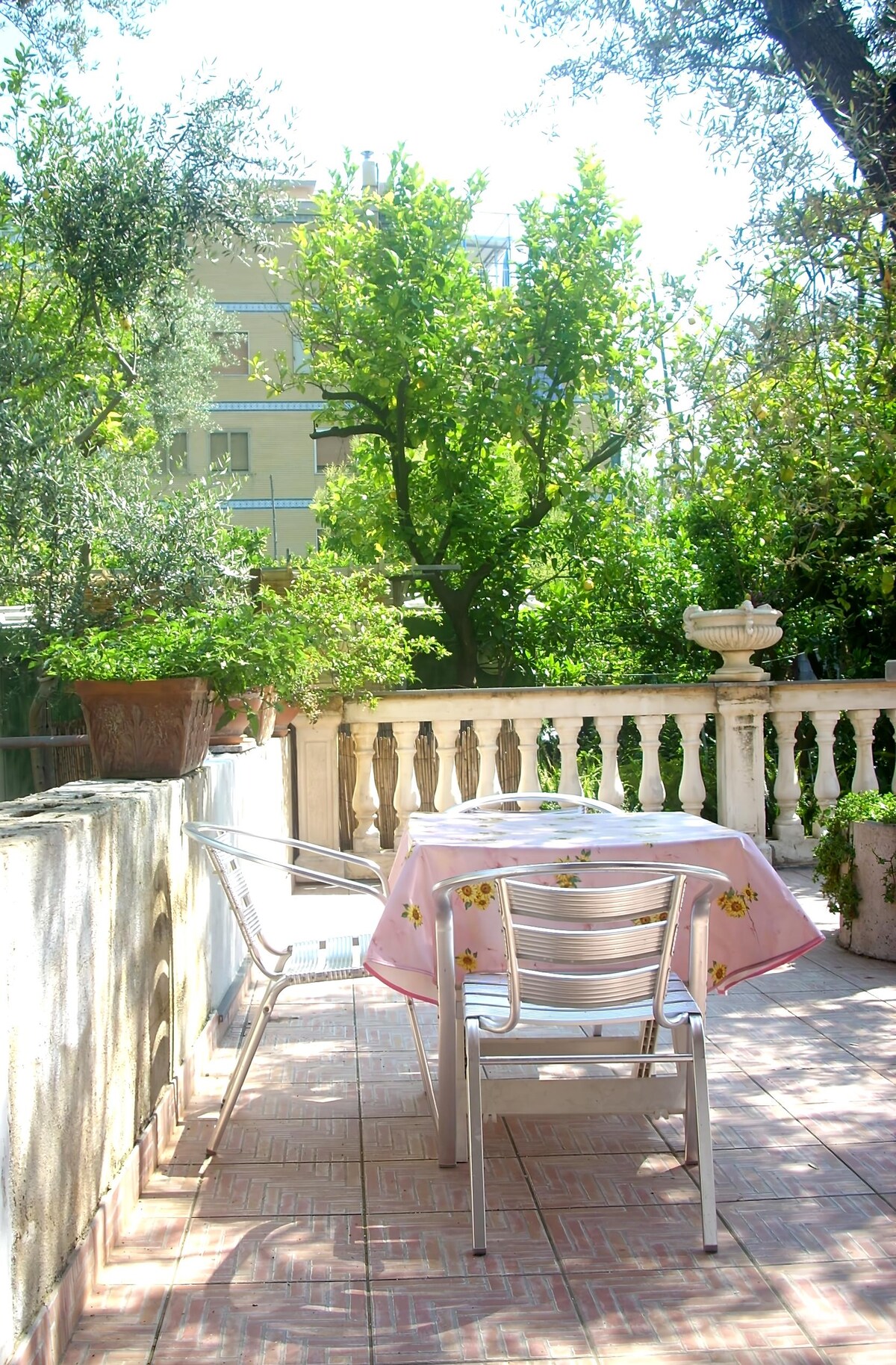 Top performing Airbnb: The Oranges Room in Sorrento