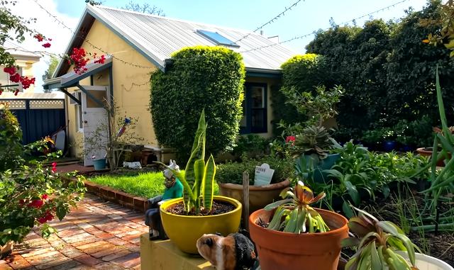Top performing Airbnb: West Leederville Guest Suite in Perth