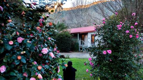 Mystic View Cottage