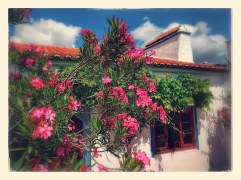 house in old winemaking village