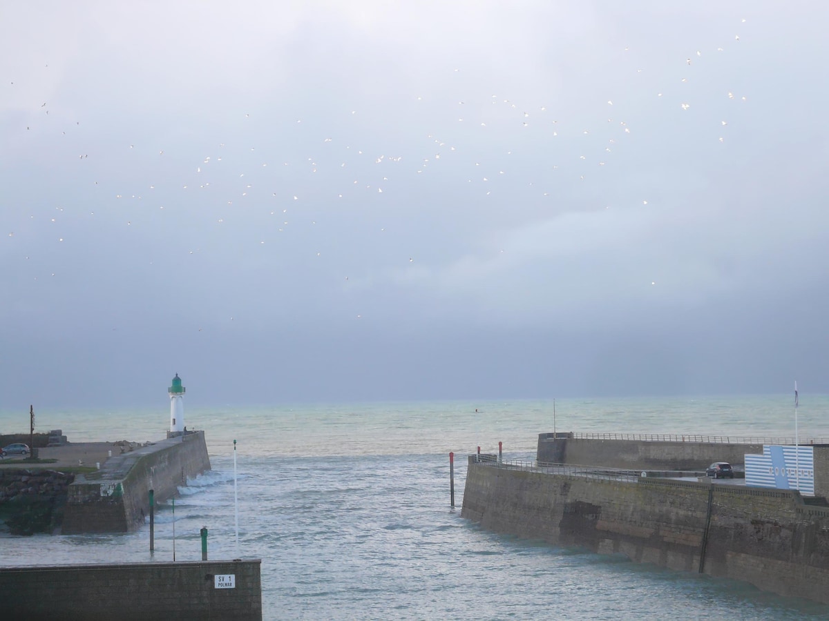 Top Airbnb: Apartment 5p comfortable and sunny sea view. en Saint Valery En Caux