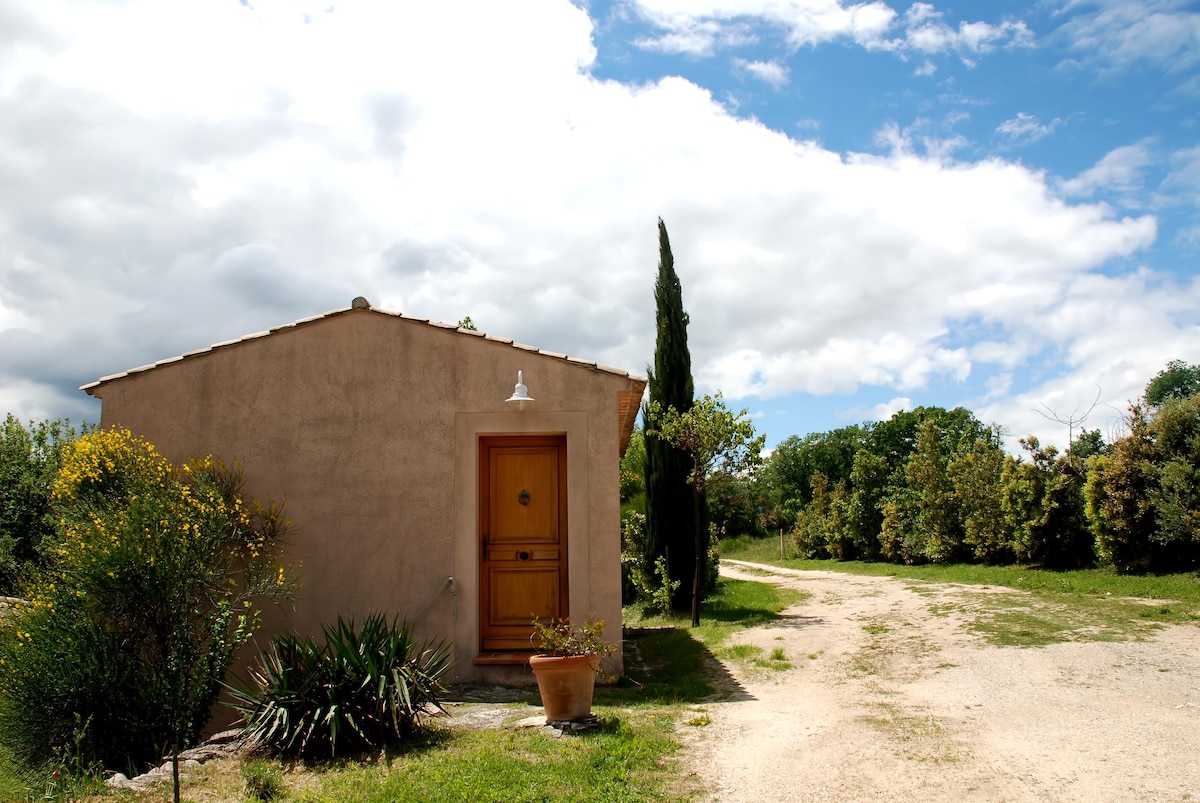 Top performing Airbnb: Studio-cabin in the heart of Luberon in Apt