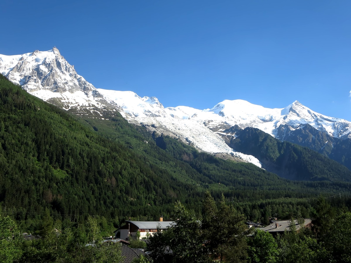 Top Airbnb: Cozy 1 Bedroom Apartment with Stunning Views in Chamonix Mont Blanc