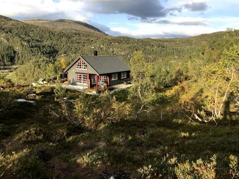 Cozy cabin in the mountains, Bergsdalen (near Voss)