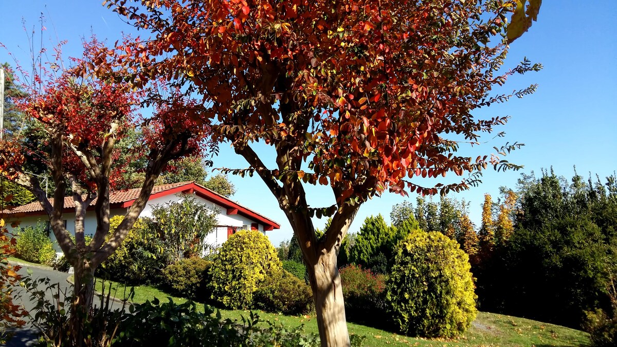 Erfolgreiche Airbnb-Immobilie: Single-family home in the Basque Country in Hasparren