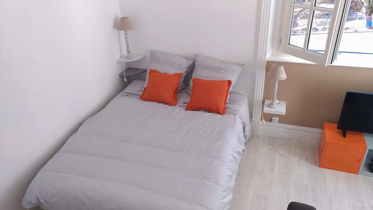 Propriété Airbnb réussie: Furnished 3* modern, studio next to the thermal baths à Châtel Guyon