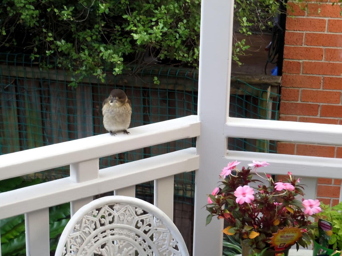 Beliebte Airbnb-Anzeige: Charming private suite in Sydney in Sydney