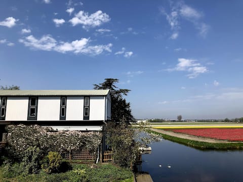 House w waterfront terrace, near beach & Amsterdam