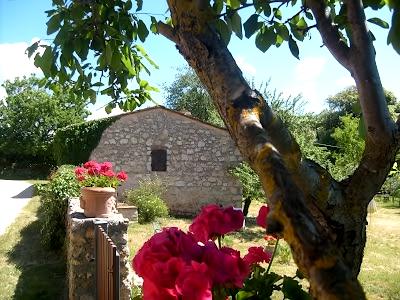 Popular Airbnb listing: Last minute! ROMANTIC CASA VERBENA in Sovicille
