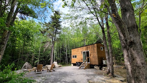 Trailside Stays- Tiny House in the Woods-Chickadee