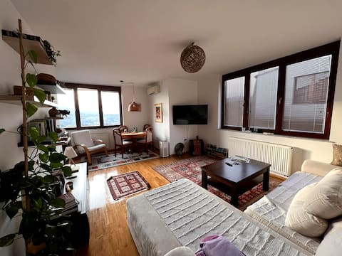 Spacious comfortable flat with splendid view