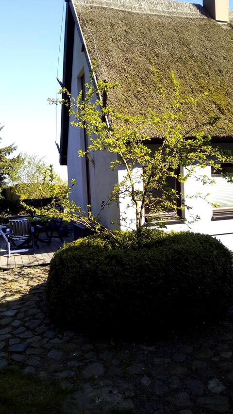 Hygge - Northeast