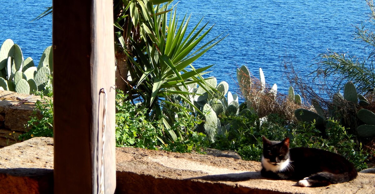 Propriété Airbnb réussie: Charming dammuso by the sea à Pantelleria