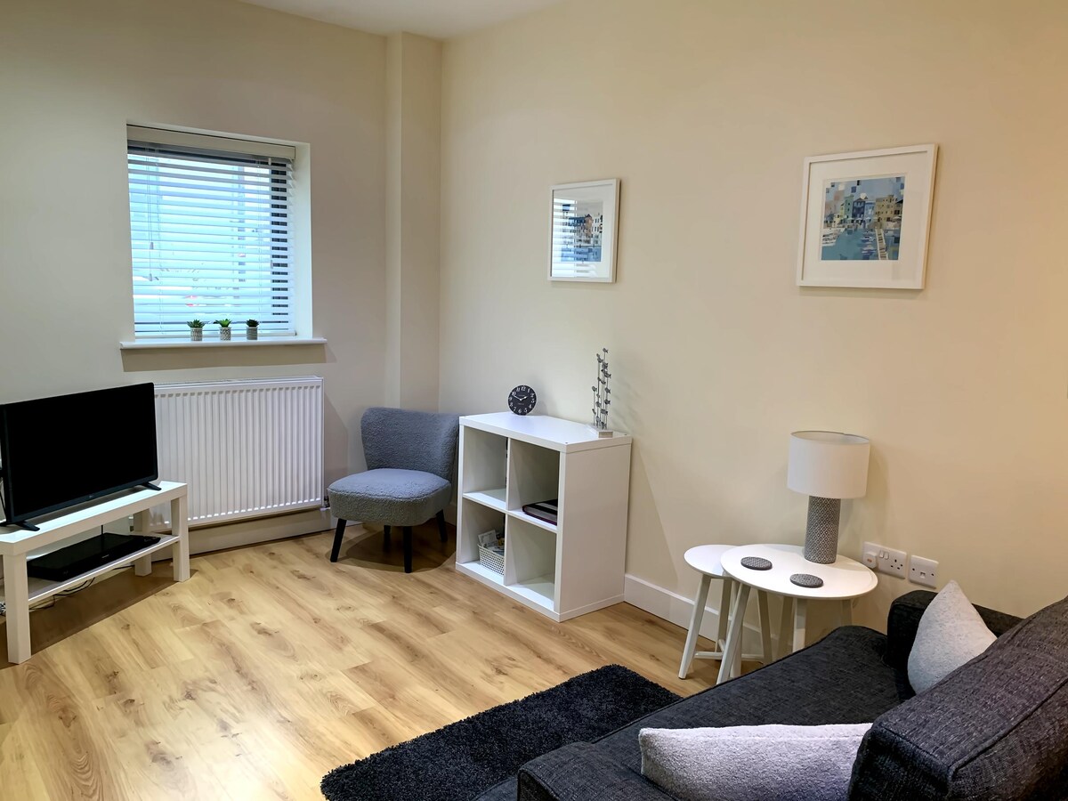 Top Airbnb: Modern 1 bed Barbican apartment, private parking in Wembury